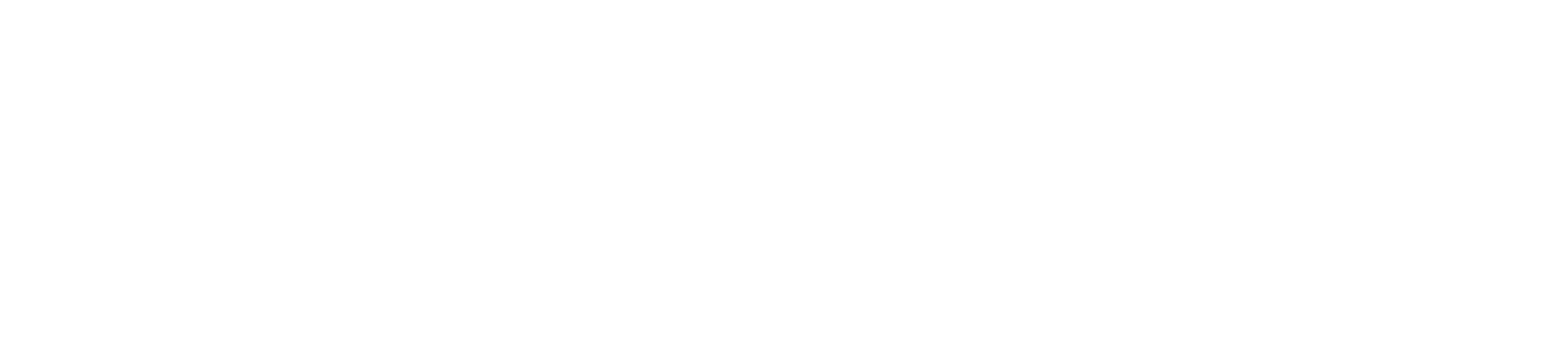 Logo eShopex white