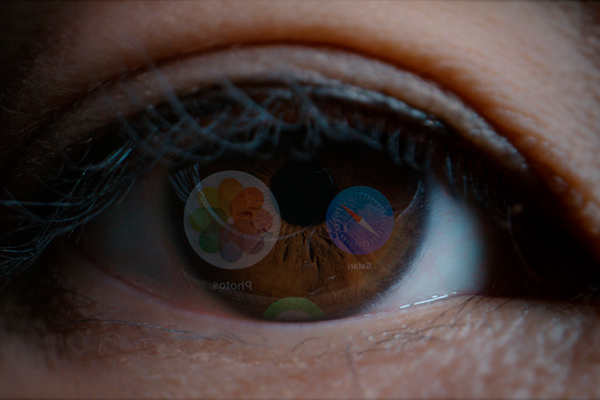 Seguridad visual pro